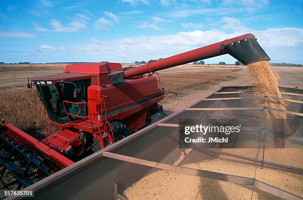 harvesting a field of soybeans with a combine harvester. - combine stockfoto's en -beelden