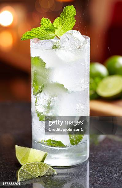 mojito - highball glass stock pictures, royalty-free photos & images