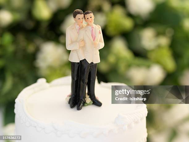 wedding - gay marriage stockfoto's en -beelden