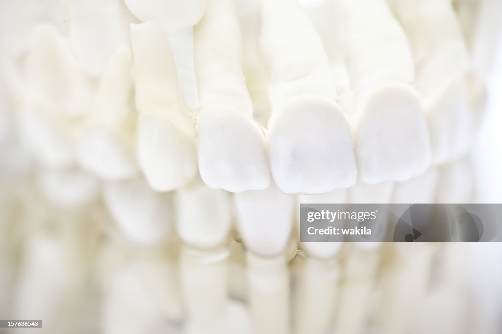 Set of white teeth dentures
