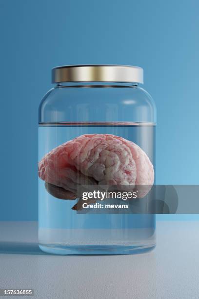 cerveau dans un bocal - prélèvement à tester photos et images de collection