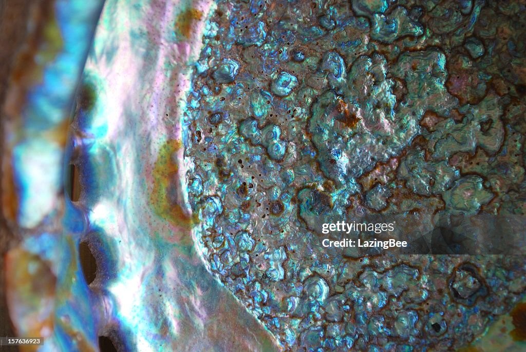 Paua Shell Background Examples Close Up Of Paua Shell High-Res Stock Photo - Getty Images