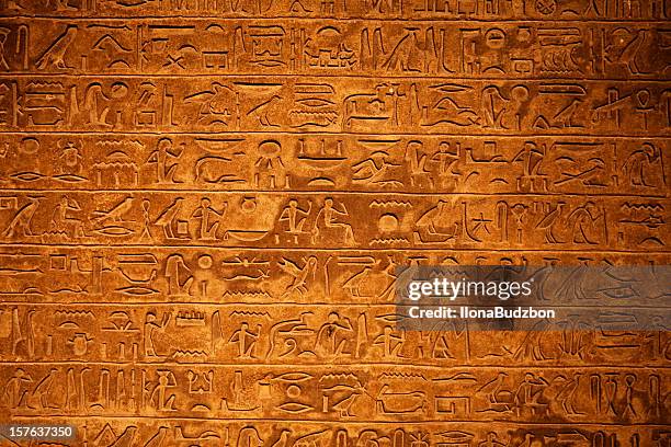 egyptian hieroglyphics on a beige stone - hieroglyphics stockfoto's en -beelden