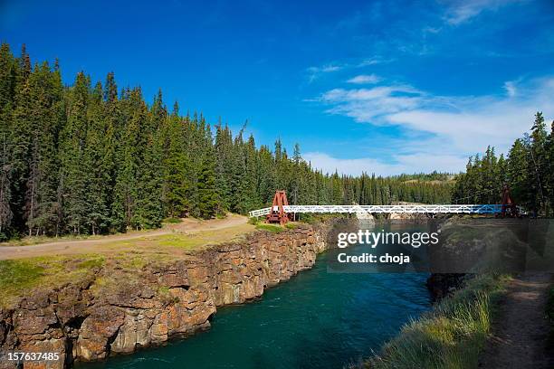 yukon river,canada - whitehorse stock pictures, royalty-free photos & images