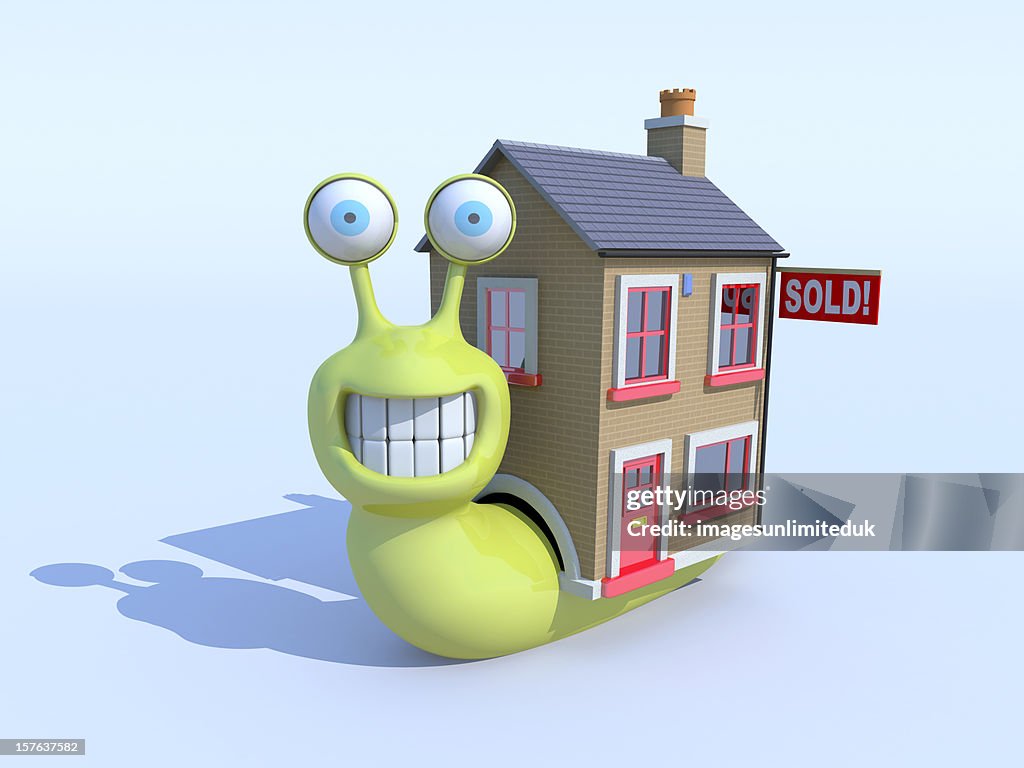 Snail buys a new house