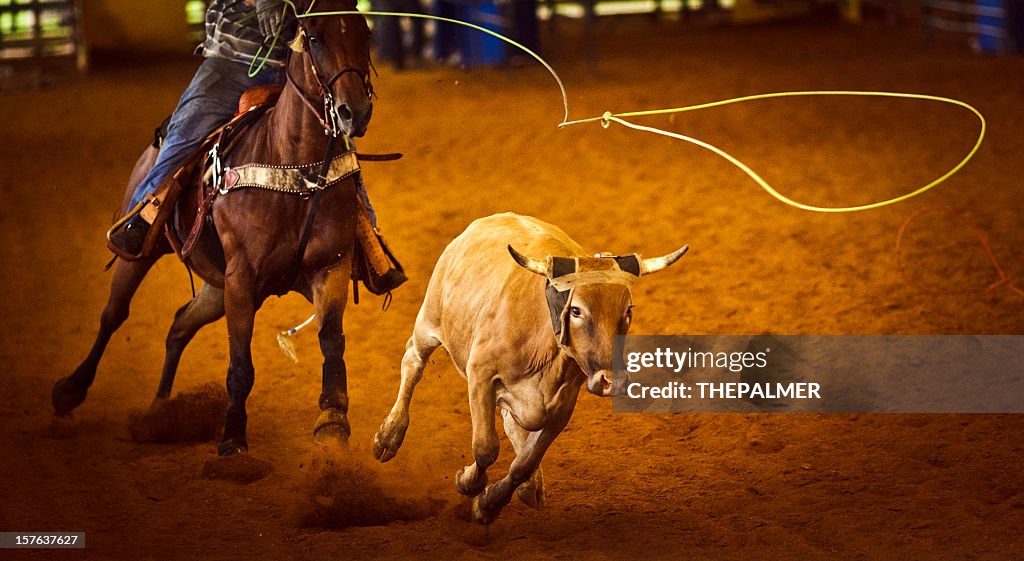 Rodeo Team roping