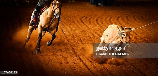Bull Head Roping 547 Bull Mounting Cow Stock Photos, High-Res Pictures, and Images ...