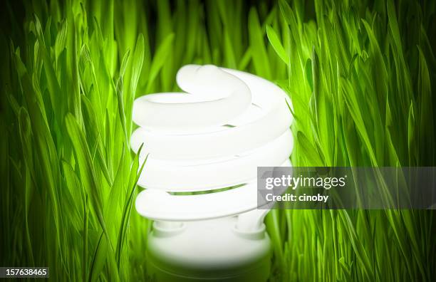 green energy - halogen light stock pictures, royalty-free photos & images