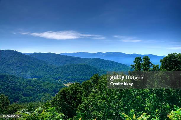 lush green trees on the blue ridge mountains - north carolina stock pictures, royalty-free photos & images