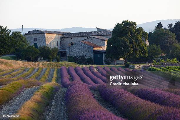 bauernhaus in der provence - drome stock-fotos und bilder