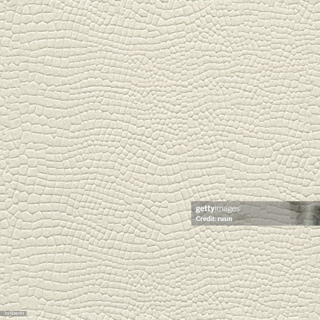 Seamless paper with animal print background