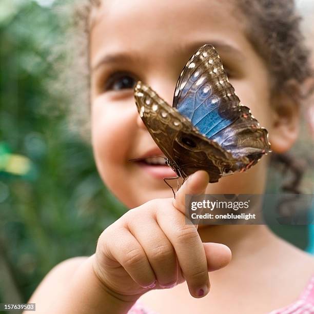 child holding mariposa de manantial madera (pararge aegeria - nymphalidae mariposa fotografías e imágenes de stock