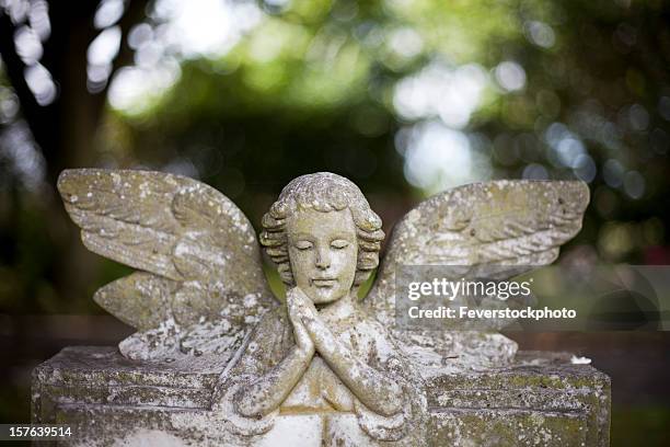 beten stone angel - angel statue stock-fotos und bilder