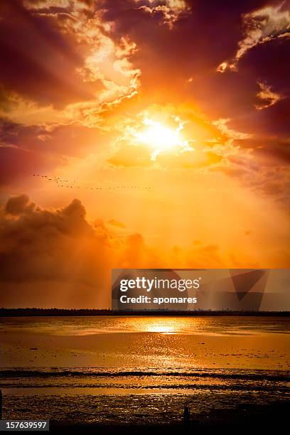 mystical sun rays from a cloudy morning sky - dramatic sky over ocean stock pictures, royalty-free photos & images