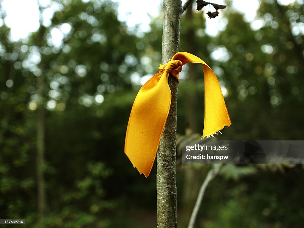 Yellow ribbon