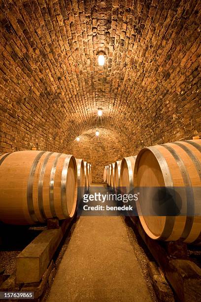 wine cellar with large barrels - wine barrels stock pictures, royalty-free photos & images