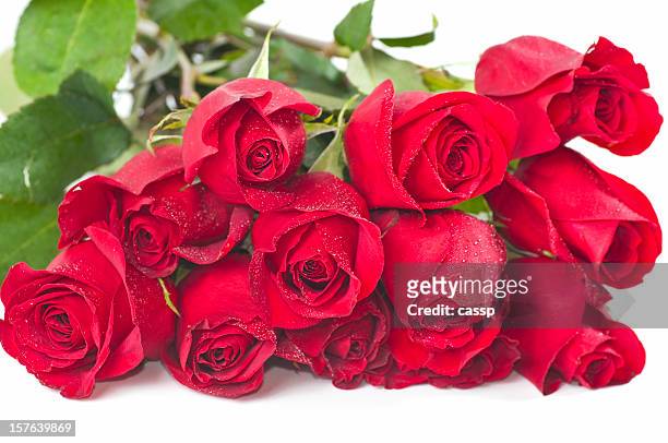 ramo de rosas vermelhas longas - dozen roses - fotografias e filmes do acervo