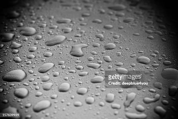 water drops on a polished dark motorhood - landskap stockfoto's en -beelden