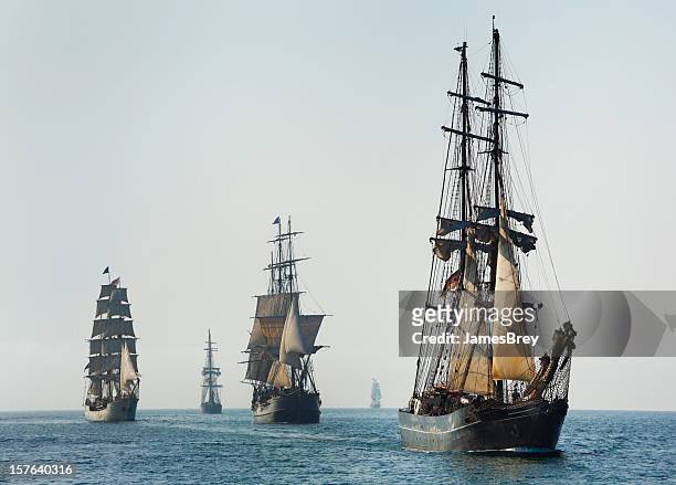 armada of tall ships sails at morning - schooner stockfoto's en -beelden