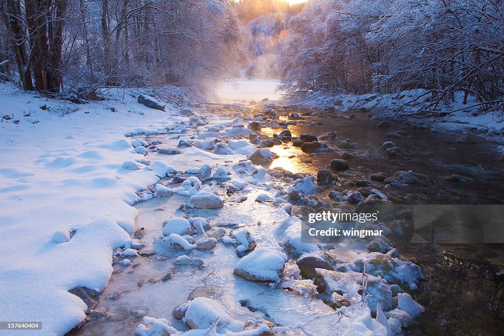 Winter wonder land