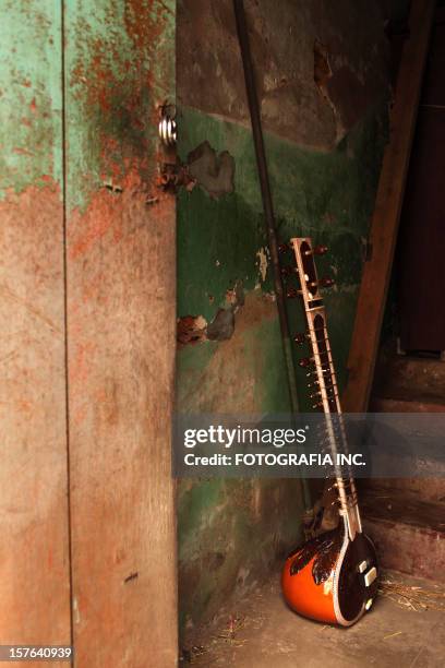 sitar in the hallway - sittar stock pictures, royalty-free photos & images