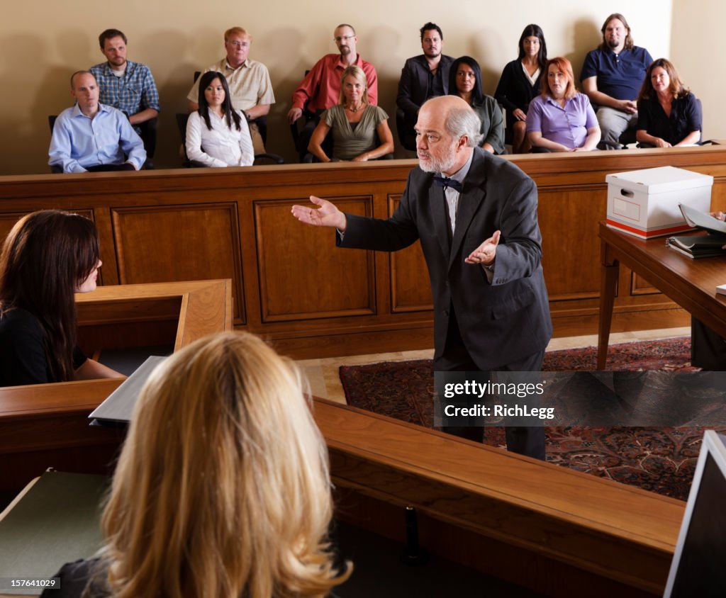Lawyer in a Courtroom