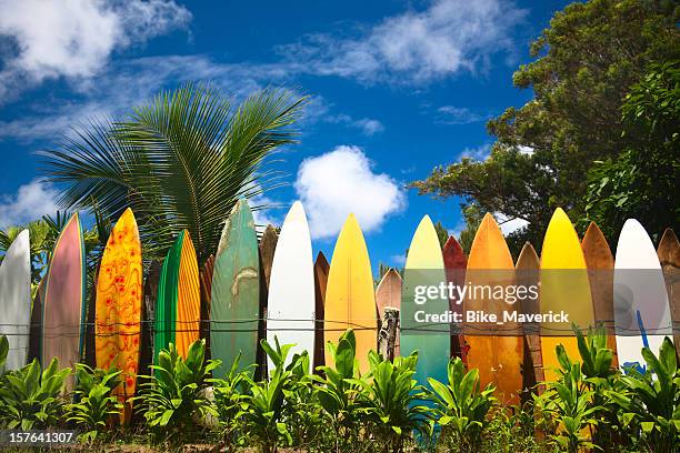 planches de surf - hawaii photos et images de collection