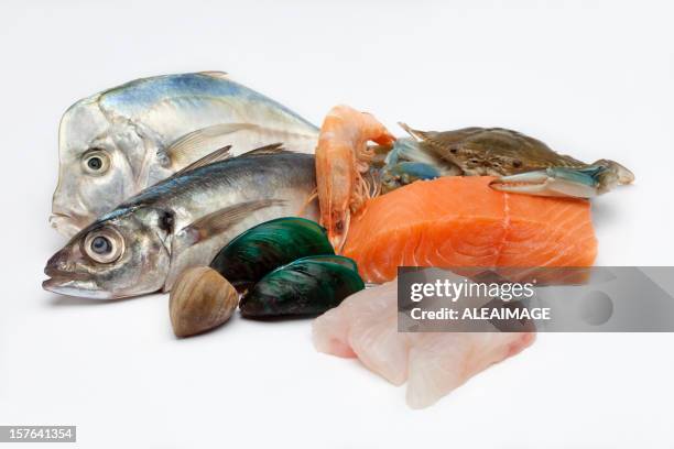 different array of fish and fish filet on white background - salt water fish stock pictures, royalty-free photos & images