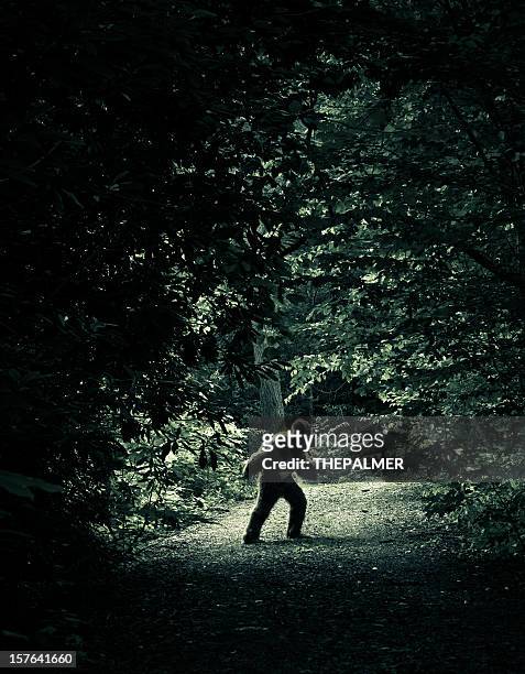 bigfoot making an appearance on a dirty road - bigfoot stock pictures, royalty-free photos & images