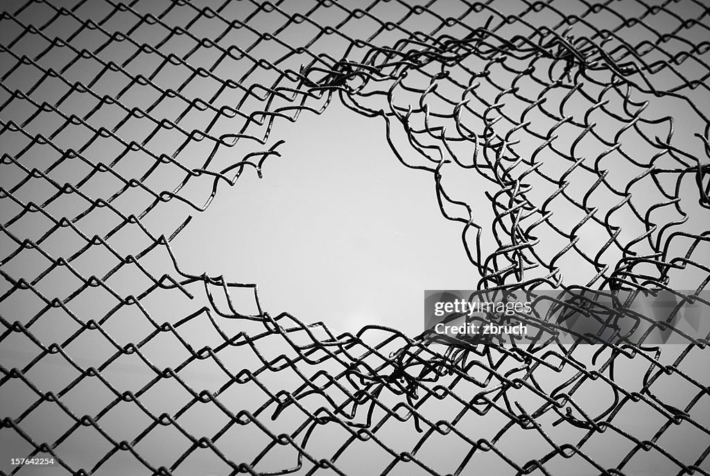 Section of wire mesh with a hole in the middle