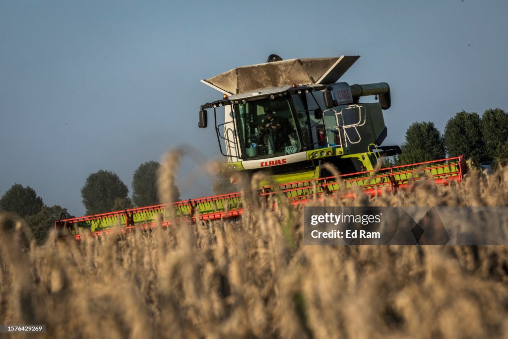 Ukraine's 2023 Wheat Harvest Underway Amid Attacks On Storage Facilities Across Country