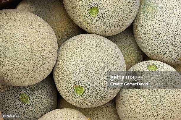 close-up of cantaloupes ready for shipping - cantaloupe melon stock pictures, royalty-free photos & images