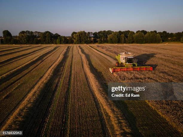 In an aerial view, farmers use combine harvesters to harvest a wheat field near the city of Bila Tserkva on August 4, 2023 in Kyiv Oblast, Ukraine. A...