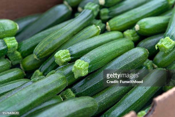 organic zucchini, vegetables at farmer's market: healthy eating food background - mergpompoen stockfoto's en -beelden