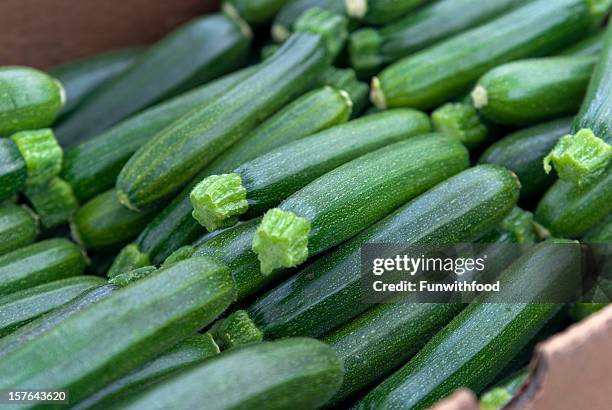 organic zucchini, vegetables at farmer's market: healthy eating food background - marrow squash 個照片及圖片檔