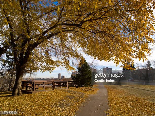 edmonton, alberta - edmonton cityscape stock pictures, royalty-free photos & images