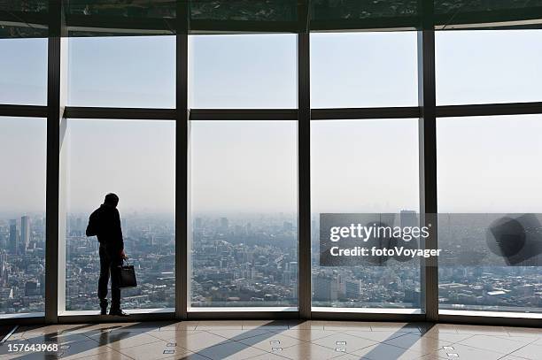 businessman with briefcase looking over city through big windows japan - observation point stock pictures, royalty-free photos & images