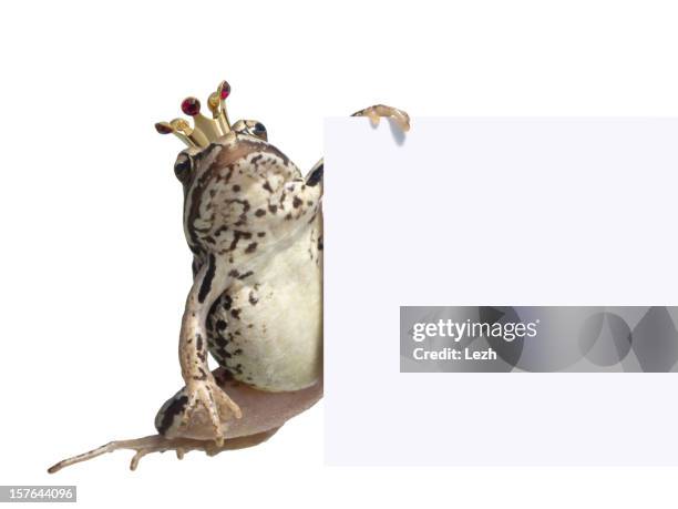 príncipe encantado - príncipe encantado imagens e fotografias de stock