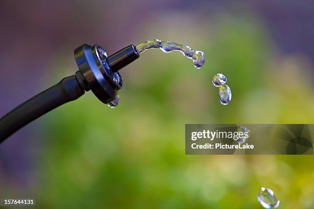 close-up of water dripping out of a water drop system - drip irrigation system stock pictures, royalty-free photos & images