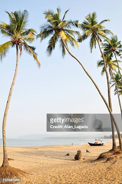 agonda beach,goa,india. - goa stock pictures, royalty-free photos & images