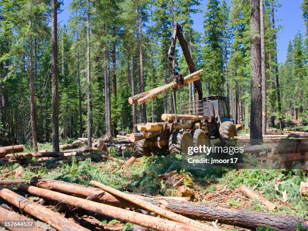 Log Loader Photos and Premium High Res Pictures - Getty Images