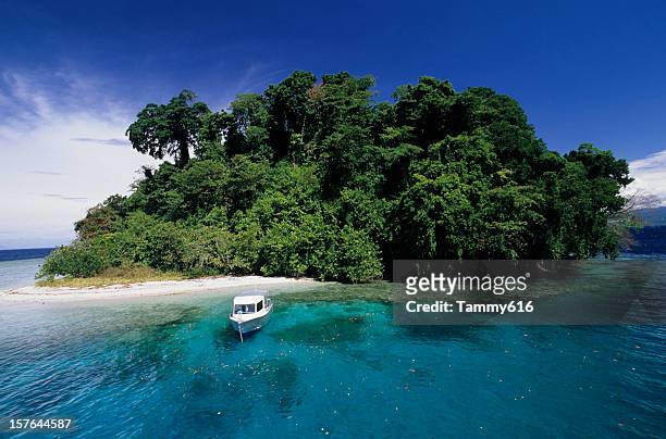 day trippers on tropical island - papua new guinea beach stock pictures, royalty-free photos & images