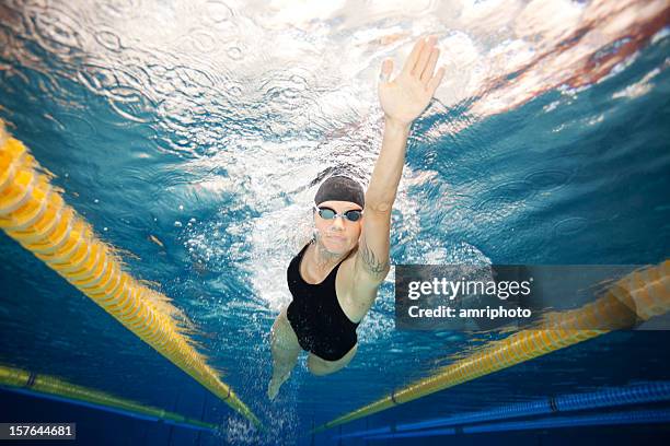 dynamic swimmer on swimming lane - indoor swimming pool stock pictures, royalty-free photos & images