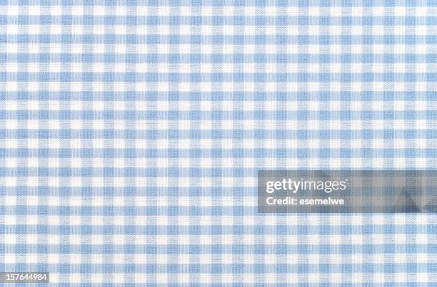 blue-and-white checkered gingham fabric - picnic table stock pictures, royalty-free photos & images