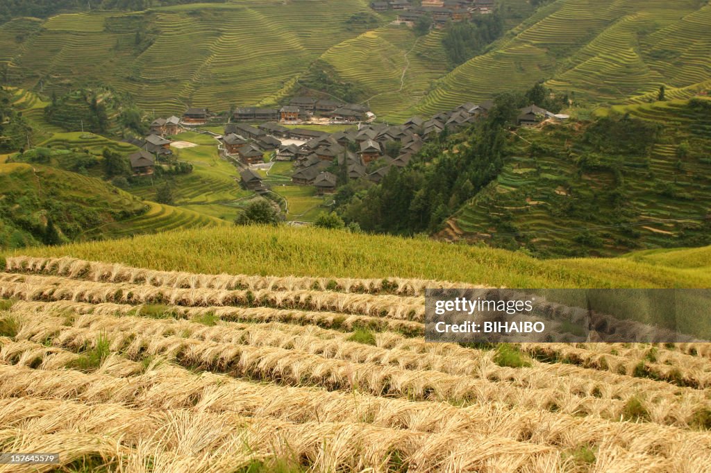 Dazhai Terraced Field