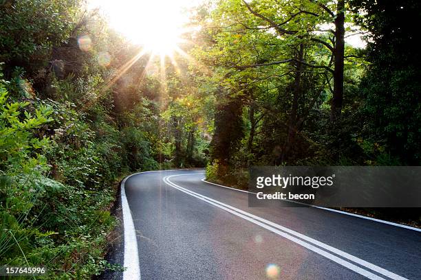 ensolarada estrada florestal na grécia - pelion - fotografias e filmes do acervo