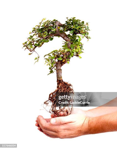 Foto Query Comply Query Imagens e fotografias de stock - Getty Images