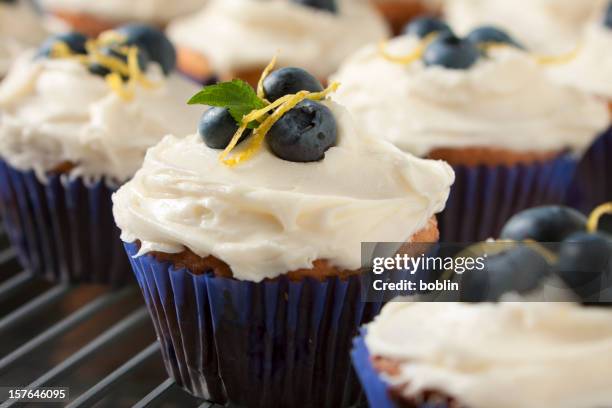 close up of blueberry and lemon cupcakes in blue bun cases - cupcake stock pictures, royalty-free photos & images