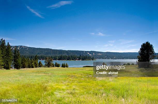 alpine mountian lake and meadow - vacant lot stock pictures, royalty-free photos & images