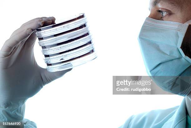 microbiology research - agar jelly stock pictures, royalty-free photos & images